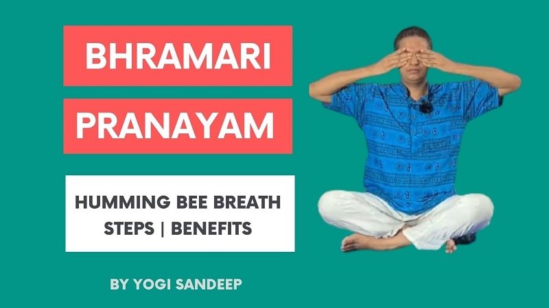 bhramari prananayama (bee-breath)